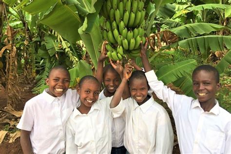 africa's children's fund|east african children's fund.